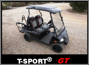 ACG T-Sport NEV GT